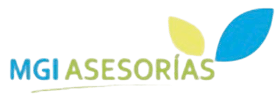 MGI Asesorías